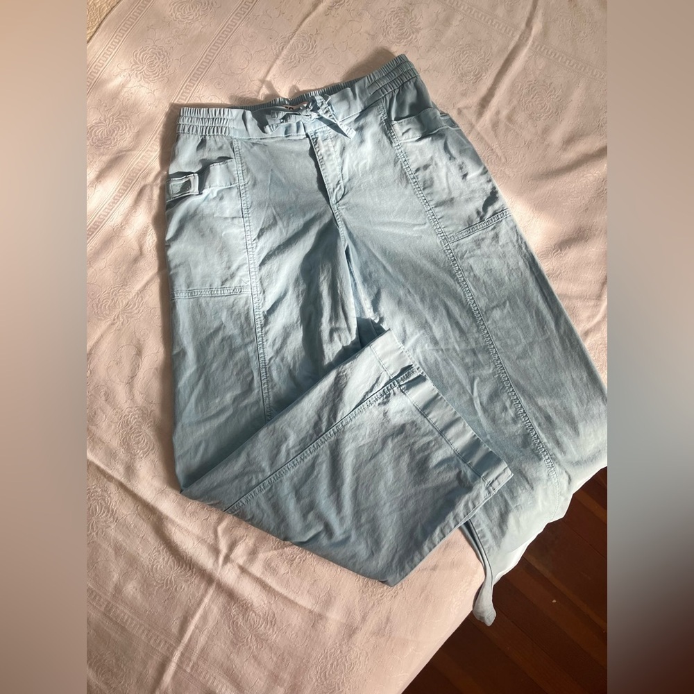 SO powder blue cargo pants